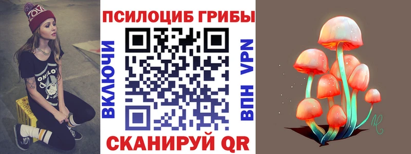 Псилоцибиновые грибы Cubensis  цены   Саров 