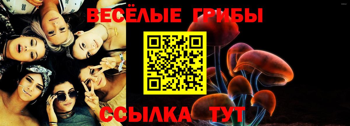 Саров  Псилоцибиновые грибы Psilocybine cubensis  Галлюциногенные грибы прущие грибы  Вход с VPN 